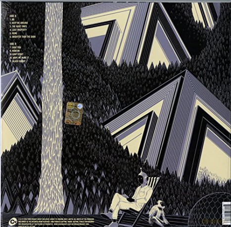 Turin Brakes: Lost Property [Winyl]