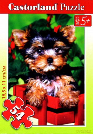 CASTOR 54 MINI York w pelargoniach A-08521-Z [PUZZLE]