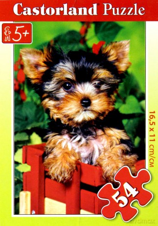 CASTOR 54 MINI York w pelargoniach A-08521-Z [PUZZLE]