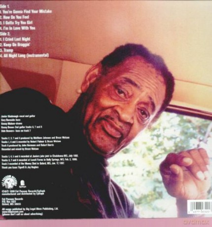 Junior Kimbrough: God Knows I Tried [Winyl]