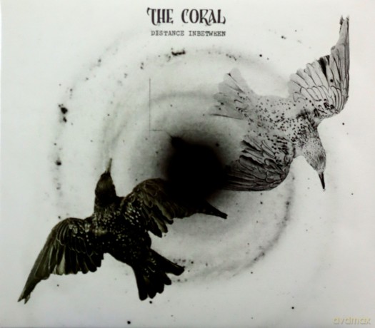 The Coral: Distance Inbetween [CD]