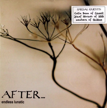 After: Endless Lunatic [CD]