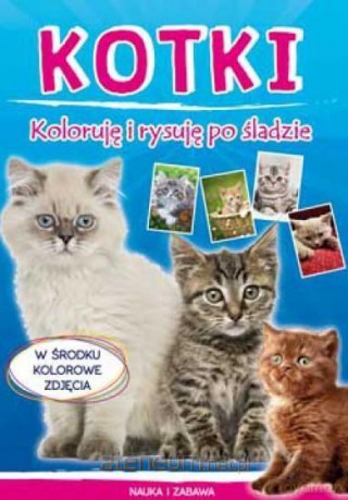 Koloruję i rysuję po śladzie. Kotki - Monika Myślak [KSIĄŻKA]