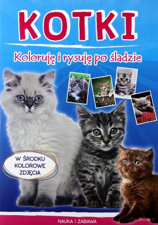Koloruję i rysuję po śladzie. Kotki - Monika Myślak [KSIĄŻKA]