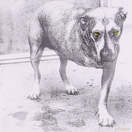 Alice In Chains: Alice In Chains [CD]
