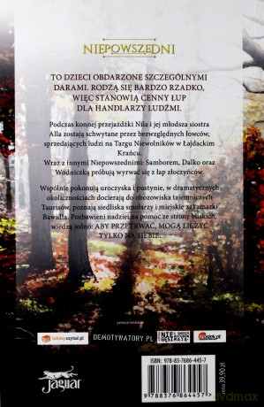 Porwanie niepowszedni (Tom 1) - Justyna Drzewicka [KSIĄŻKA]