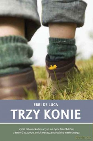 Trzy konie - Erri De Luca [KSIĄŻKA]