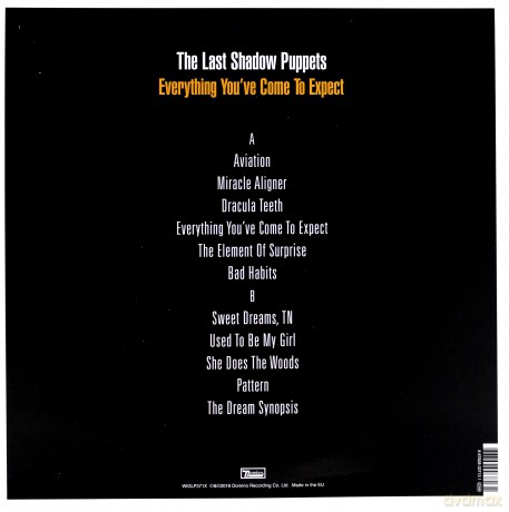 The Last Shadow Puppets: Everything You've Come To Expect (Limited Edition) [Winyl]