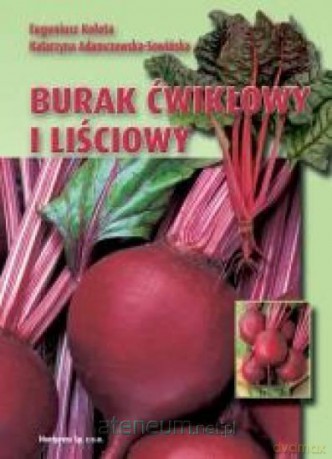 Burak ćwikłowy i liściowy - E. Kołota, K. Adamczewska-Sowińska [KSIĄŻKA]