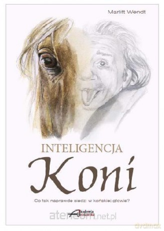 Inteligencja koni - Marlitt Wendt [KSIĄŻKA]