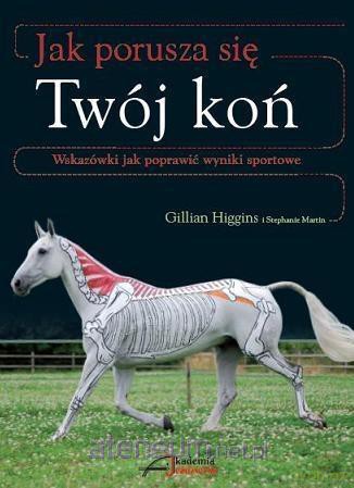 Jak porusza się Twój koń - Gillian Higgins, Stephanie Martin [KSIĄŻKA]