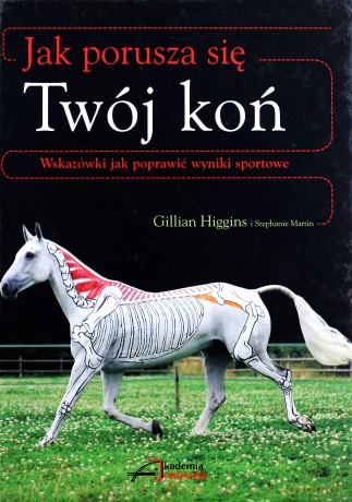 Jak porusza się Twój koń - Gillian Higgins, Stephanie Martin [KSIĄŻKA]