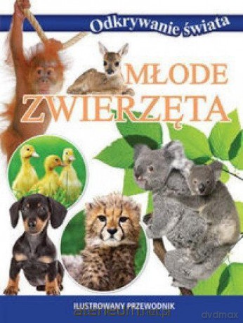 Odkrywanie świata - Młode zwierzęta [KSIĄŻKA]