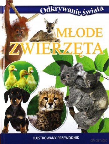 Odkrywanie świata - Młode zwierzęta [KSIĄŻKA]