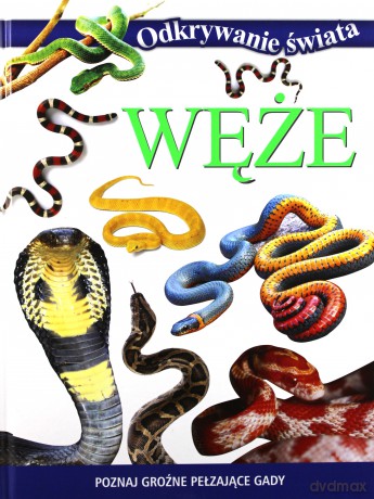 Odkrywanie świata - Węże [KSIĄŻKA]