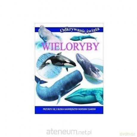 Odkrywanie świata - Wieloryby [KSIĄŻKA]