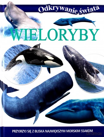 Odkrywanie świata - Wieloryby [KSIĄŻKA]
