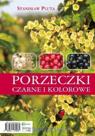 Porzeczki czarne i kolorowe - Stanisław Pluta [KSIĄŻKA]