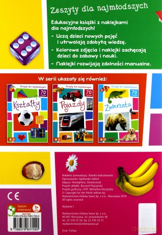 Zeszyty dla najmłodszych. Kolory [KSIĄŻKA]