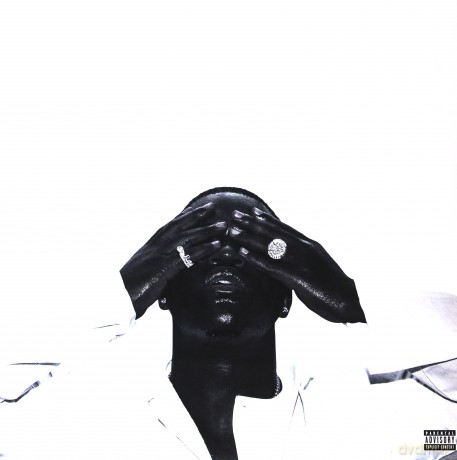 A$AP Ferg: Always Strive And Prosper [2xWinyl]