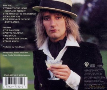 Rod Stewart: A Night On The Town [CD]