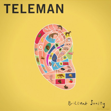 Teleman: Brilliant Sanity (digipack) [CD]