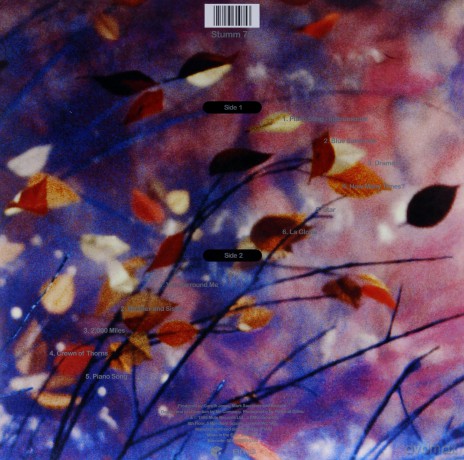 Erasure: Wild [Winyl]