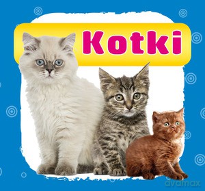 Kotki (harmonijka) - Monika Myślak [KSIĄŻKA]