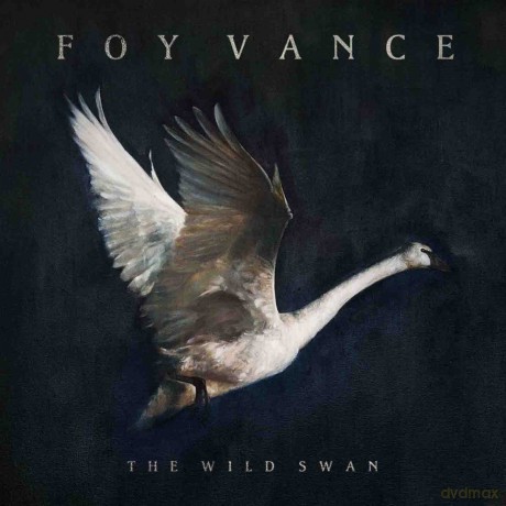 Foy Vance: The Wild Swan [Winyl]