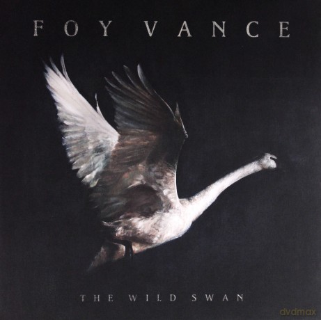 Foy Vance: The Wild Swan [Winyl]