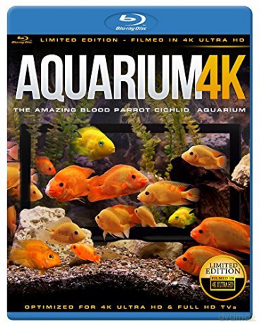 Aquarium 4K - The Amazing Blood Parrot Cichlid Aquarium [Blu-Ray 4K]