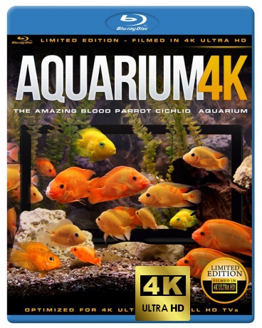 Aquarium 4K - The Amazing Blood Parrot Cichlid Aquarium [Blu-Ray 4K]