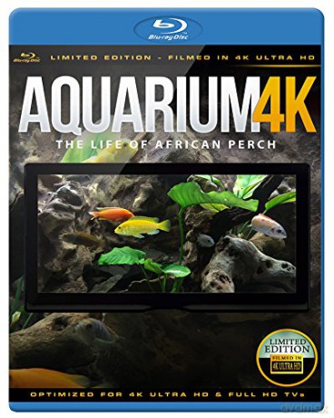 Aquarium 4K - The Life Of African Perch [Blu-Ray 4K]