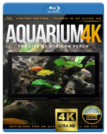 Aquarium 4K - The Life Of African Perch [Blu-Ray 4K]