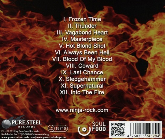 Ninja: Into The Fire [CD]