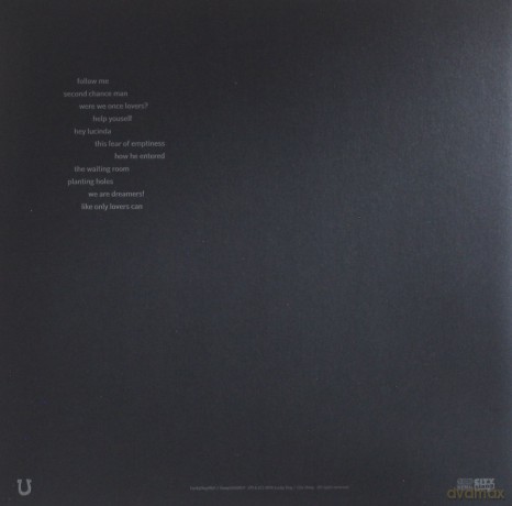 Tindersticks: The Waiting Room [Winyl]