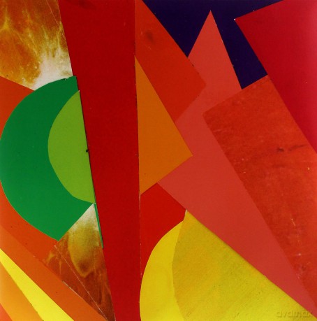Neon Indian: Psychic Chasma Mind Ctrl [2xWinyl]