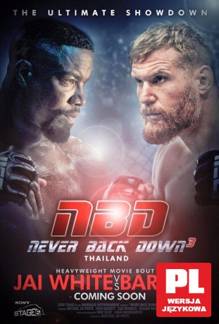 Never Back Down: No Surrender [DVD]
