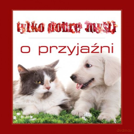 O przyjaźni. Tylko dobre myśli (twarda) [KSIĄŻKA]