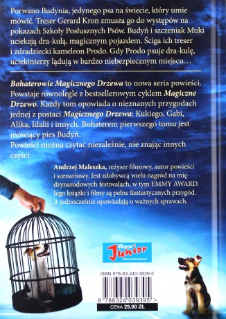 Porwanie. Bohaterowie magicznego drzewa - Andrzej Maleszka (twarda) [KSIĄŻKA]