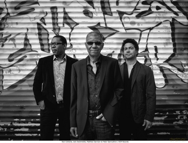 Jack Dejohnette: In Movement [CD]