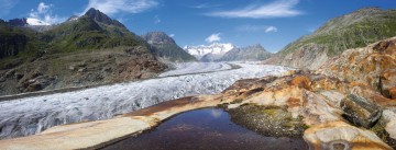 RAVENSBURGER 1000 el. Lodowiec Aletsch [PUZZLE]