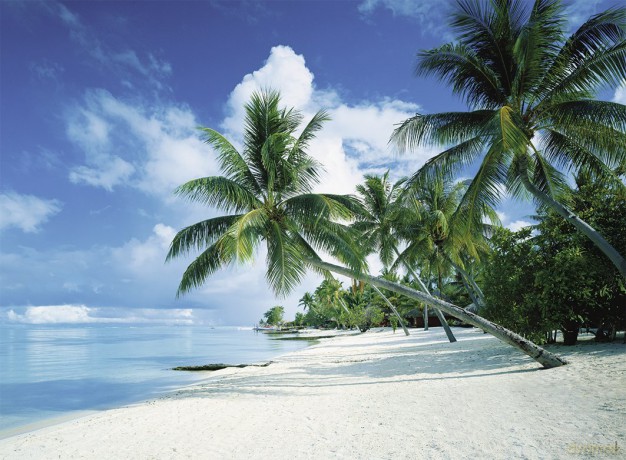 RAVENSBURGER 300 el. XXL BoraBora [PUZZLE]