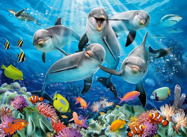 RAVENSBURGER 500 el. Delfiny [PUZZLE]