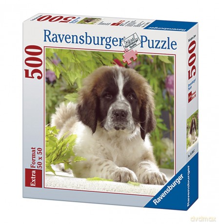 RAVENSBURGER 500 el. Szczenię Bernardyna [PUZZLE]