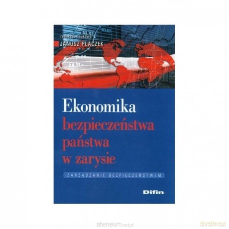 Ekonomika bezpieczeństwa państwa w zarysie - Janusz Płaczek [KSIĄŻKA]