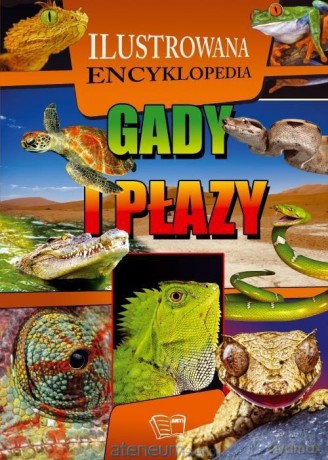 Ilustrowana Encyklopedia. Gady i płazy [KSIĄŻKA]