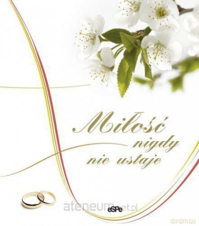 Miłość nigdy nie ustaje [KSIĄŻKA]