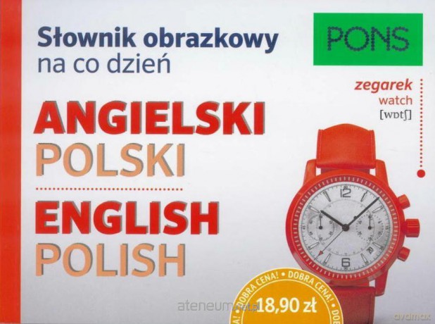 Słownik obrazkowy na co dzień. Angielski [KSIĄŻKA]