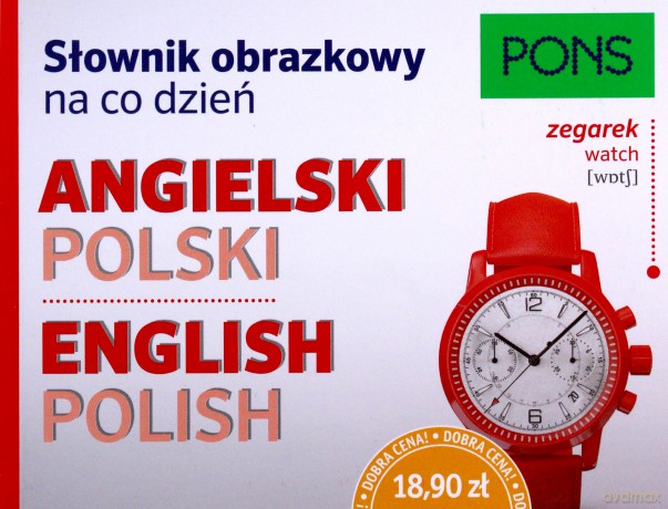Słownik obrazkowy na co dzień. Angielski [KSIĄŻKA]